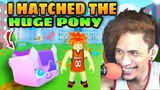 😱 I Hatched The Huge Pony In Pet Simulator X - Roblox