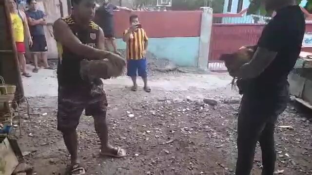galing mo nok win