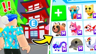 Unlocking The *JAPAN EGG* Pets EARLY Using *TIKTOK* Hacks In Adopt Me Roblox !! Adopt Me Update