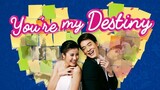 You're My Destiny Episode 17 (TagalogDubbed)
