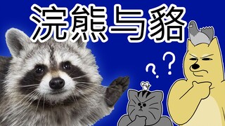 [禽兽朋友们] 浣熊与貉