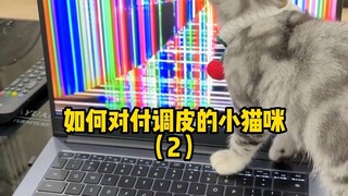 如何对付调皮的小猫咪（2）