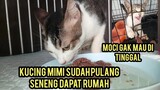 Kucing Sakit Prolaps Menangis Di Lapangan Part 2 Sudah Sembuh Dan Pulang Dari Kelinik..!
