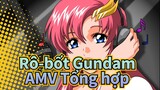 [Rô-bốt Gundam]SEED & Destiny/AMV chính thức Tổng hợp_F2