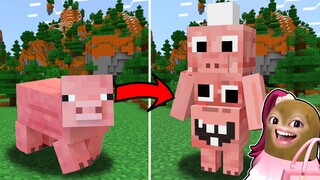 MINECRAFT TAPI MOMON HACK BUAT MOD PIGSTER SENDIRI ft @BANGJBLOX  | MINECRAFT