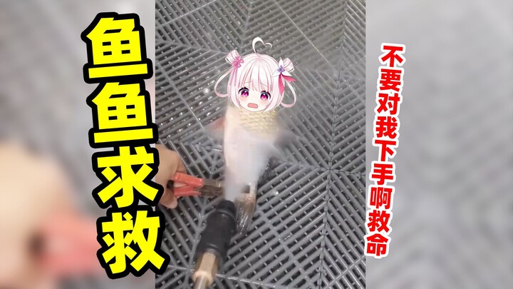 鱼鱼被打了也是会大叫的！！！！