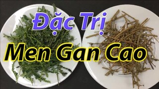 Cách chữa men gan cao và giải độc cơ thể tại nhà bằng nguyên liệu tự nhiên sẵn có