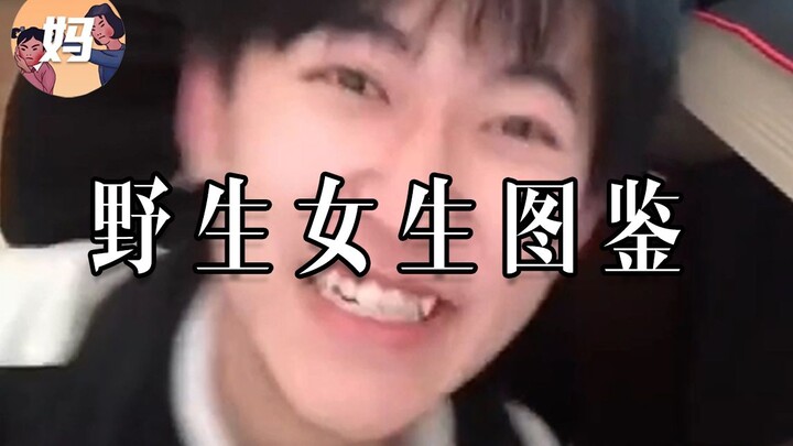 【野生人类图鉴】沙雕女孩的快乐也太简单了吧