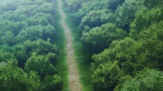 Saihate no Paladin ep6 (Dub)