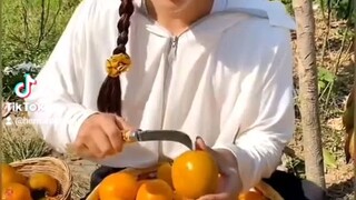 fruit