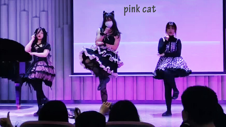 Nhảy cover MARiA - PiNK CAT