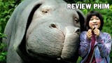 Review Phim : Chú lợn OKJA - Bộ phim cảm động lấy đi nước mắt của nhiều người xem