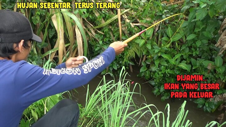 WOW..Mancing Sehabis Hujan Memang The Best || BABONYA PADA LAPAR !!