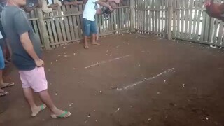 first fight