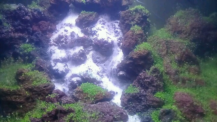 aquascpe