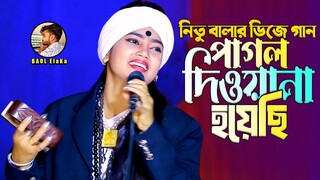 আমি পাগল দিবানা হয়েছি_নিতু বালা হিট সং
