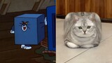 Tom & Jerry, video cắt ghép
