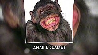 sopo seng bapak ne slamet
