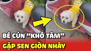 Nổi khổ tâm của Boss khi SỐNG CHUNG với Sen GIỠN NHÂY 😂 | Yêu Lu