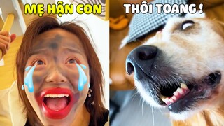 Đại Trang | MaMa Khóc Cạn Nước Mắt Khi Nuôi Phải Đứa Con Như Đại Trang 🤣 Gâu Đần Official