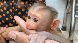 Baby Mano Very Happy Playing On Hand