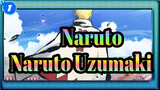 [Naruto]  "I'm Naruto Uzumaki, the Hokage of the Future!"_1