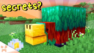 The Huge Sniffer Reveal, Release, & Secrets?!