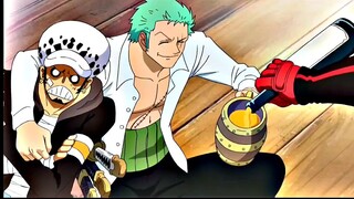 Kisah Zoro dan Law ketika mereka bertemu