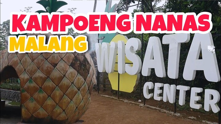 TEMPAT NGABUBURIT DI MALANG, WISATA KAMPUNG NANAS