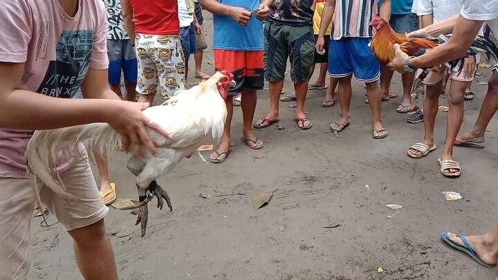 bawe nlang sa susunod🥲 pang apat na sana ni whitey😅