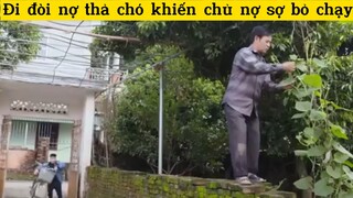 Đi đòi nợ thả chó khiến chủ nợ bỏ chạy😝#haihuoc#hài#tt