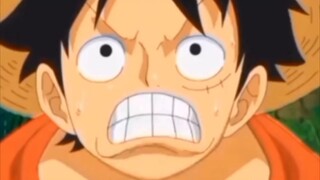 Luffy Crazy moments 🤦