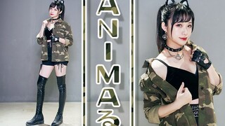 【蛔KAORU】ANIMARU/ANIMAL✈✈ชื่อหวาน(*ΦωΦ*)