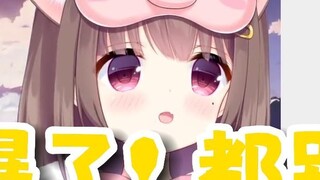 Putri Babi: Apakah kucing itu mencuri udangku? Jangan memakannya, semuanya!