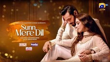 Sunn Mere Dil Ep 29