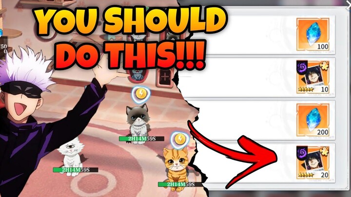 Jujutsu Duel YOU SHOULD DO THIS! Cat's House & Affinity Beginner's Guide