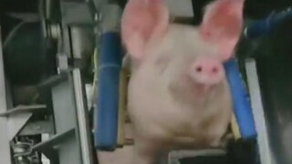 复 仇 者 联 盟