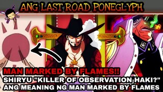 Man marked by flames | Shiryu killer observation haki? na kay Mihawk ang last poneglyph