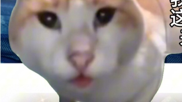 【Nunu｜Meme kucing】Kehidupan ibu Nunu