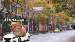 当新兵不小心撞到私家车后