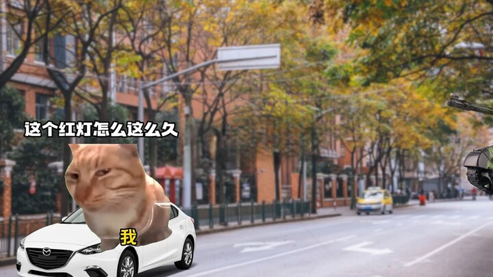 当新兵不小心撞到私家车后