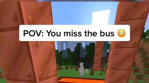 POV:YOU MISS THE BUS
