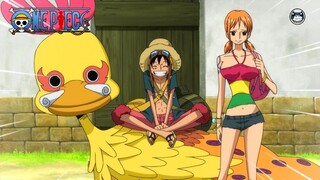 Luffy Lawan Mantan kru Rock D Xebec