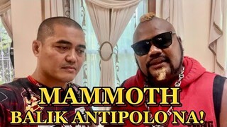 MAMMOTH NAKABALIK NA NG ANTIPOLO