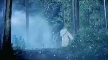 Funny Video