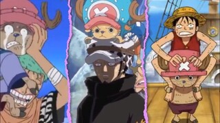 Chopper cưỡi lên Zoro và Law, còn Luffy thì lại cho ngồi lên. #Dự Đoán Onepiece tập cuối