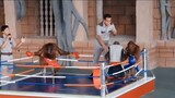 monkey 🐒🐒 boxing