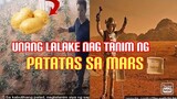 Nag Tanim sya ng PATATAS sa MARS para mabuhay