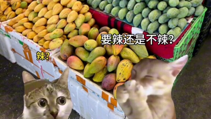 当外地人第一次来广西时