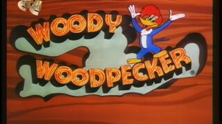 Woody Woodpecker Episode 149 Hassle in a Castle
